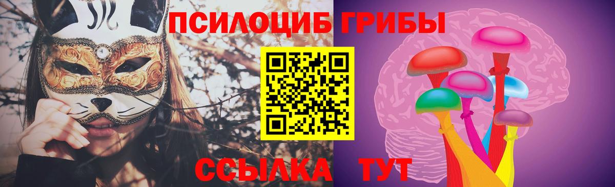 Алексин  Псилоцибиновые грибы MAGIC MUSHROOMS  Вход с VPN 